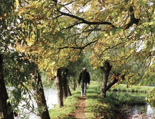 Herfstkrant in stijl