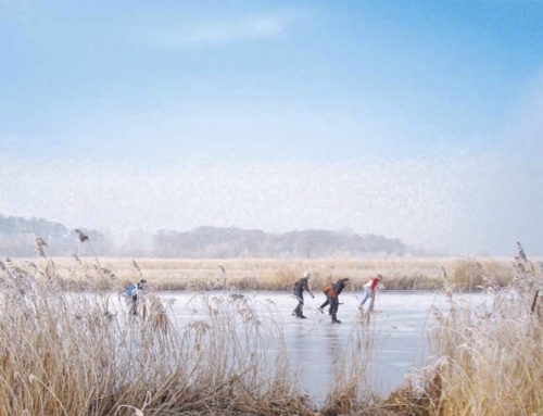 Midden-Delfland op de kaart