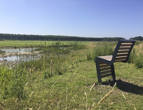 Inzendingen voor MDV-jaarverslag welkom